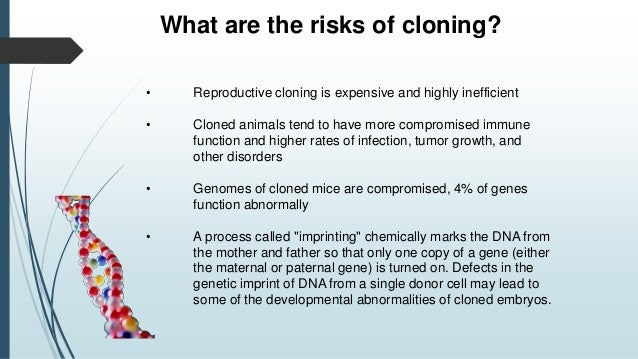 uses of cloning risks of cloning animals